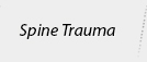 Spine Trauma - Mohammed Khaleel, MD - Orthopaedic Spine Surgeon